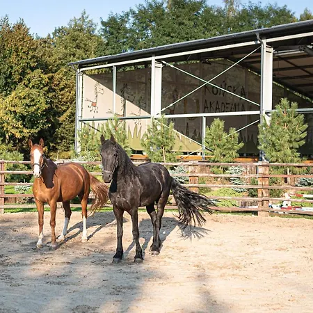 Akademia Kuraszkow リゾート