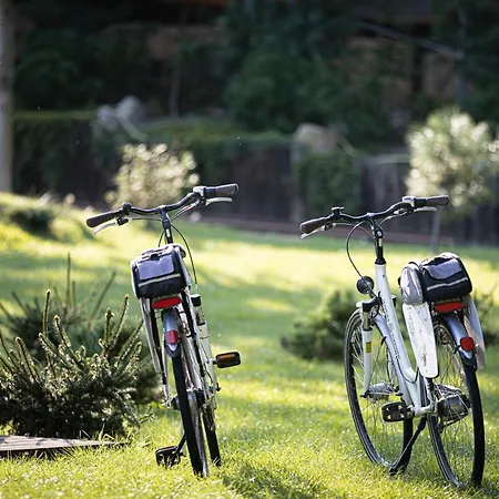 リゾート Akademia Kuraszkow