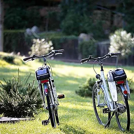 Akademia Kuraszkow Курортный комплекс 3*