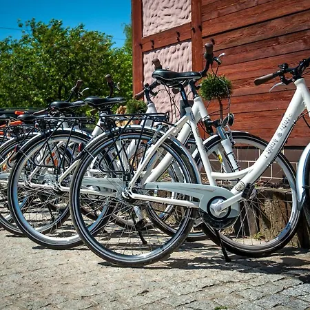 Akademia Kuraszkow 3*