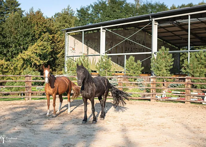 Akademia Kuraszkow Resort