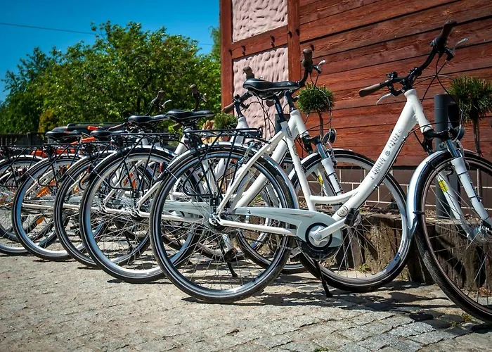 Akademia Kuraszkow 3*